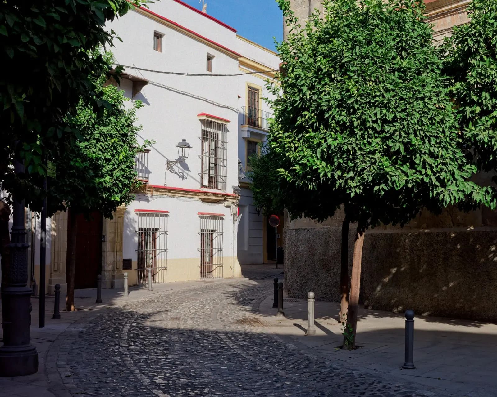 Calle empedrada con casas blancas y naranjos