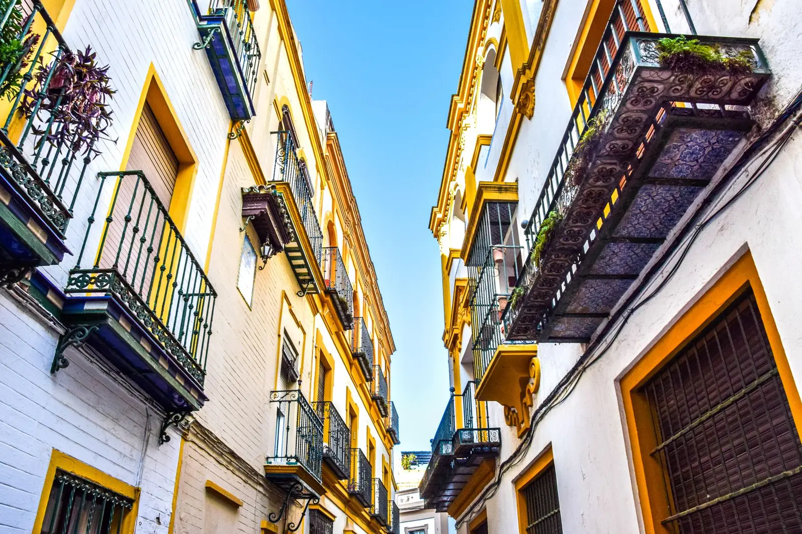 Calle estrecha con balcones de forja y fachadas de colores